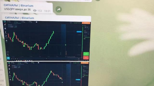 Как зарабатывать с помощью сигналов братишки трейдера Как зарабатывать с помощью сигналов братишки трейдера
