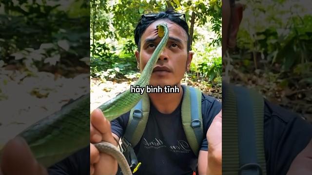 Anh chàng chuyên gia hướng dẫn cách thoát khỏi một con rắn Anh chàng chuyên gia hướng dẫn cách thoát khỏi một con rắn
