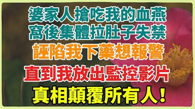 婆家人搶吃我的血燕窩後集體拉肚子失禁,誣陷我下藥想報警,直到我放出監控影片,真相顛覆所有人! 婆家人搶吃我的血燕窩後集體拉肚子失禁,誣陷我下藥想報警,直到我放出監控影片,真相顛覆所有人!
