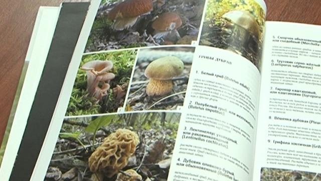 Книга «природный мир белогорья» Книга «природный мир белогорья»