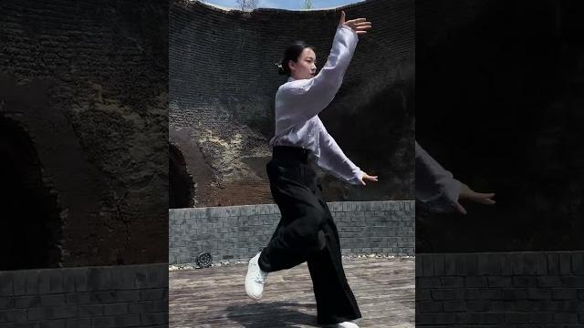 四两拨千斤之力,宛如环流不息的大海!武术 太极拳 传武 一套动作行云流水 太极沅芷 四两拨千斤之力,宛如环流不息的大海!武术 太极拳 传武 一套动作行云流水 太极沅芷
