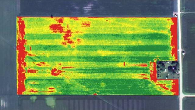 Dji drone ndvi camera kit for agricultural use Dji drone ndvi camera kit for agricultural use