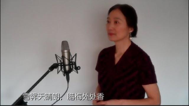 歌曲《踏雪寻梅 》 女高音 王美君演唱 刘雪庵词 黄自曲 歌曲《踏雪寻梅 》 女高音 王美君演唱 刘雪庵词 黄自曲