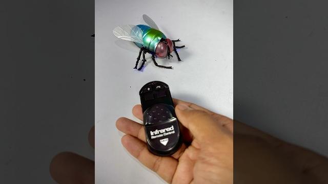 Remote control simulation housefly Remote control simulation housefly