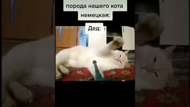 Дед#танк#прикол#шутка#! Дед#танк#прикол#шутка#!