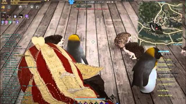 Black desert Black desert