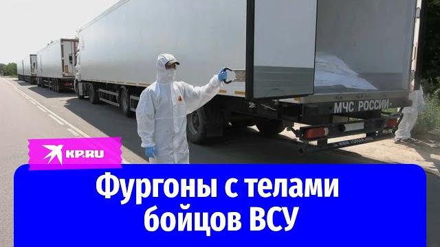 Фургоны с телами бойцов всу стоят в условленном месте, но украина не спешит их забирать Фургоны с телами бойцов всу стоят в условленном месте, но украина не спешит их забирать