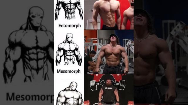 David laid - sam sulek - eddie hall #gym #davidlaid #ectomorfo David laid - sam sulek - eddie hall #gym #davidlaid #ectomorfo