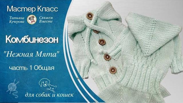 Комбинезон для собаки спицами, часть 1, dog clothes Комбинезон для собаки спицами, часть 1, dog clothes