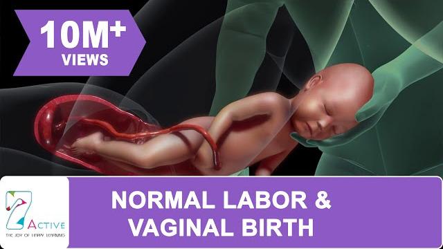 Amazing normal labor & vaginal birth Amazing normal labor & vaginal birth