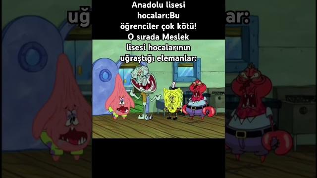 Meslek lisesi Meslek lisesi