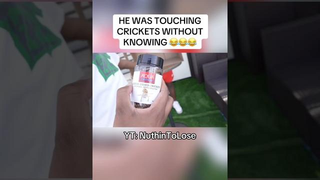 We made him touch freeze dried crickets We made him touch freeze dried crickets