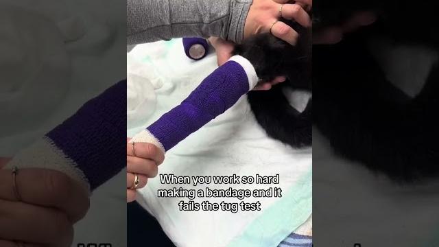 Tug tests are so important to keep bandages on! Tug tests are so important to keep bandages on!
