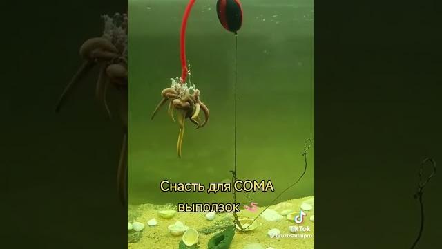 Снасть на сома с подводным поплавком #fishing #рыбалка #рекомендации #рек #сом #подводныйпоплавок Снасть на сома с подводным поплавком #fishing #рыбалка #рекомендации #рек #сом #подводныйпоплавок
