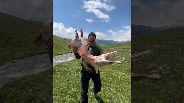 Сырне - блюдо из баранины Сырне - блюдо из баранины