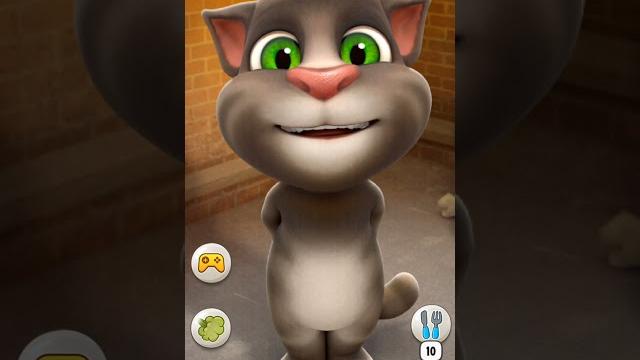 The cat#shorts utha le jaunga tujhe main doli mein dekhti rah jaayengi sakhiyan tumhari The cat#shorts utha le jaunga tujhe main doli mein dekhti rah jaayengi sakhiyan tumhari