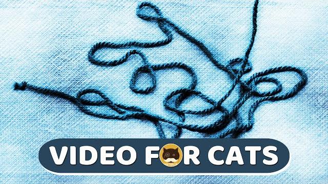 Cat games - yarn strings. videos for cats | cat tv | 1 hour. Cat games - yarn strings. videos for cats | cat tv | 1 hour.