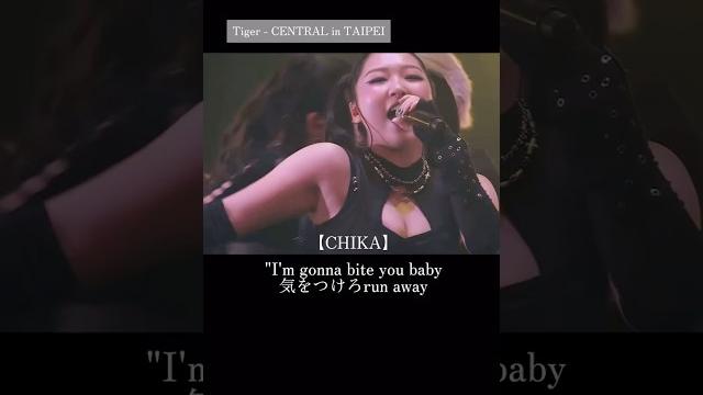 【tiger - central in taipei 】 #hana #chika #shorts 【tiger - central in taipei 】 #hana #chika #shorts