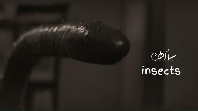 Insects inside the lady stomach horror scene Insects inside the lady stomach horror scene