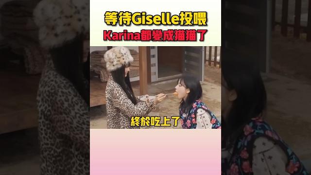 貓貓karina等待投喂也太可愛了吧 #aespa 貓貓karina等待投喂也太可愛了吧 #aespa