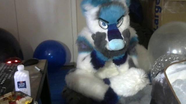 Playing with and popping balloons in my fursuit Playing with and popping balloons in my fursuit