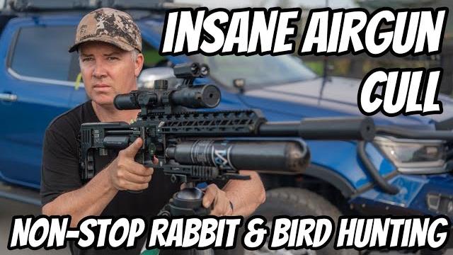 Pcp airgun rampage! fx impact m3 in action | non-stop rabbit & bird hunting | pard vision optics Pcp airgun rampage! fx impact m3 in action | non-stop rabbit & bird hunting | pard vision optics