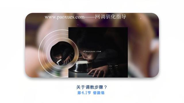 【sm瞳影新游记】4.1答疑,关于网调的步骤 【sm瞳影新游记】4.1答疑,关于网调的步骤