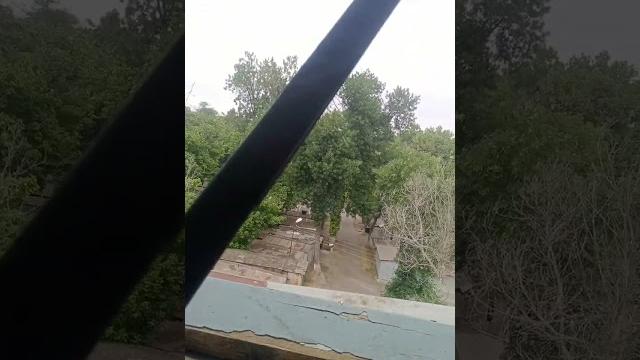 Меч танджиро Меч танджиро
