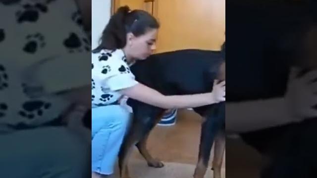 Dog and woman po*n Dog and woman po*n