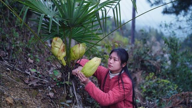 Cooking with wild ingredients from the mountain Cooking with wild ingredients from the mountain