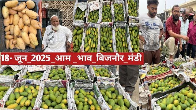 18 june 2025 bijnor mango price || bijnor fal mandi mango price today || aaj ka aam ka taza bhav 18 june 2025 bijnor mango price || bijnor fal mandi mango price today || aaj ka aam ka taza bhav