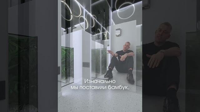 Как мы это сделали ! | стеклянный куб с бамбуком пронизывающий раковины | советы дизайнера Как мы это сделали ! | стеклянный куб с бамбуком пронизывающий раковины | советы дизайнера