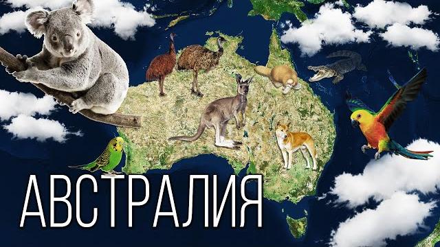 Материк австралия: самый маленький континент на планете земля | интересные факты про австралию Материк австралия: самый маленький континент на планете земля | интересные факты про австралию
