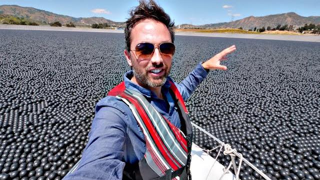 Why are 96,000,000 black balls on this reservoir? Why are 96,000,000 black balls on this reservoir?