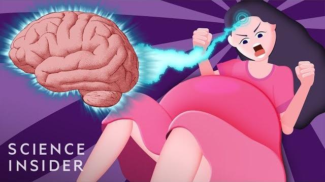 How giving birth changes your brain How giving birth changes your brain