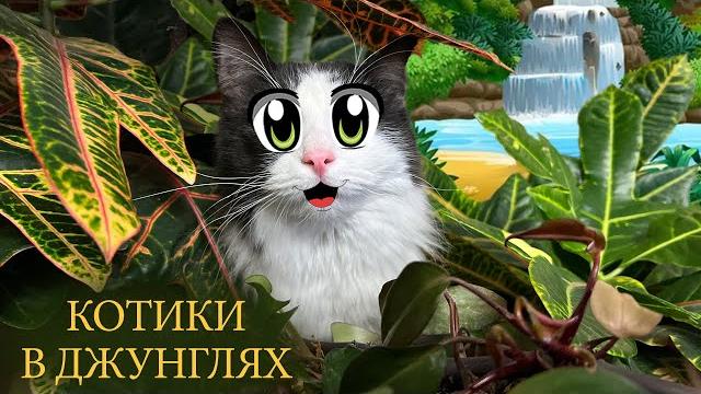 Пушистики анука давайка попали в джунгли! преображение комнаты на день рождения алисы! реакция котов Пушистики анука давайка попали в джунгли! преображение комнаты на день рождения алисы! реакция котов
