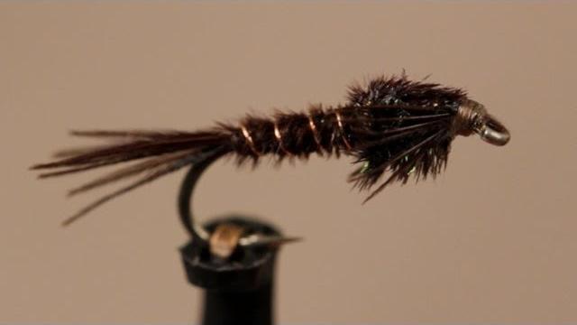 American pheasant tail nymph American pheasant tail nymph
