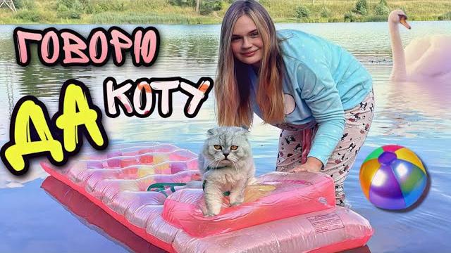 48 часов говорю да коту кевину | с котом вход разрешён 48 часов говорю да коту кевину | с котом вход разрешён
