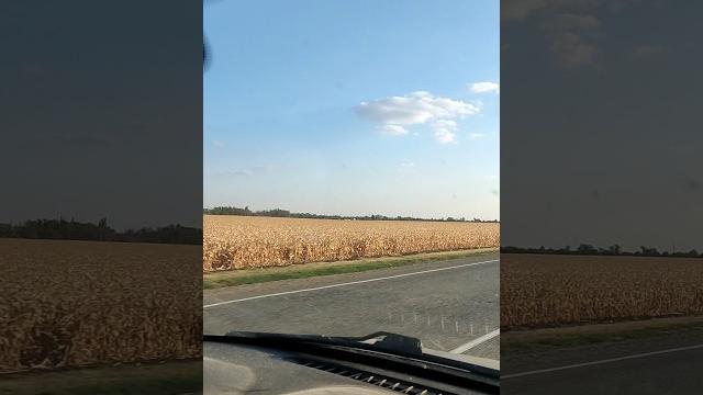 Поля краснодарского края Поля краснодарского края