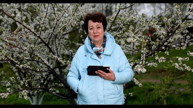 3539. хлеб на каждый день. 5 июня. псалом 83:8 3539. хлеб на каждый день. 5 июня. псалом 83:8