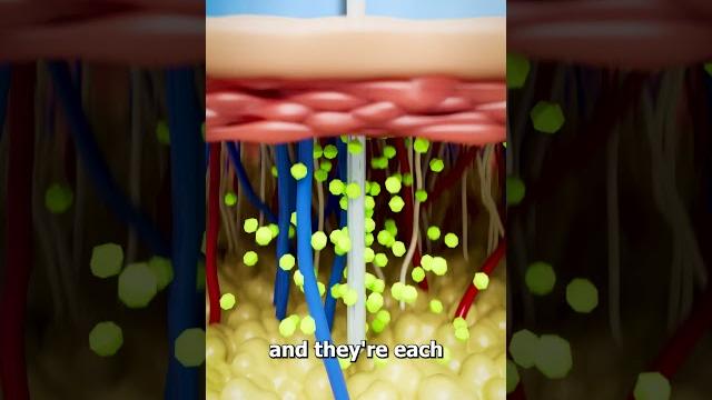 How a jellyfish actually stings you How a jellyfish actually stings you
