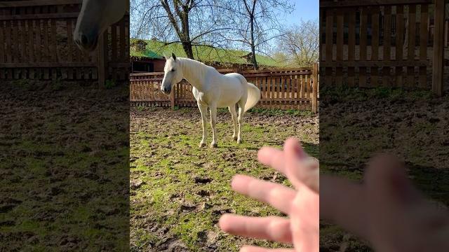 Город любви и гармонии Город любви и гармонии