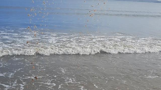Arrume-se comigo para ir para a praia meu tiktok é @euamominhafamilia2123, meu insta é @iamaline2011 Arrume-se comigo para ir para a praia meu tiktok é @euamominhafamilia2123, meu insta é @iamaline2011