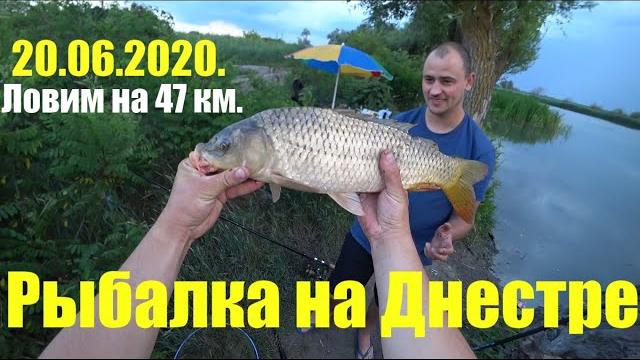 Рыбалка на днестре 20.06.2020. ловим на 47 км. Рыбалка на днестре 20.06.2020. ловим на 47 км.