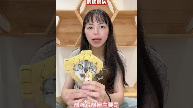 貓癬是最常見的貓咪皮膚病?3個重點一次搞懂 貓癬是最常見的貓咪皮膚病?3個重點一次搞懂