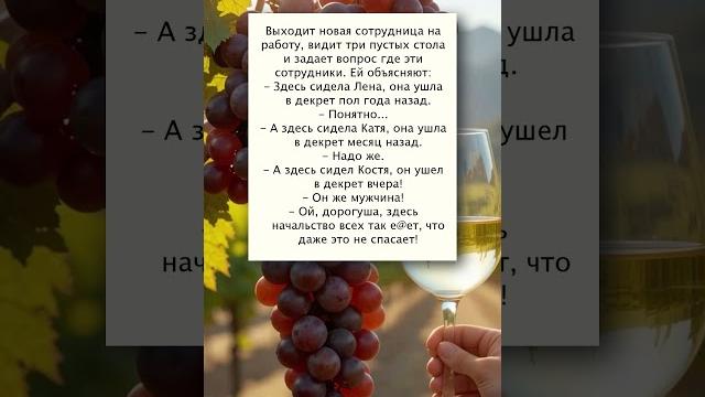Анекдот как сотрудники ушли в декрет Анекдот как сотрудники ушли в декрет
