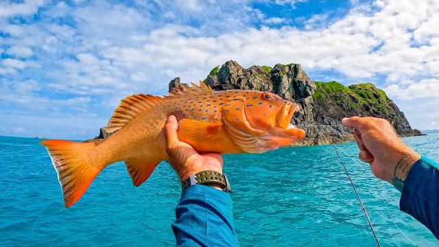 Conquering 6m tides in an island paradise!! Conquering 6m tides in an island paradise!!