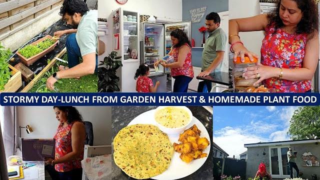 No rush morning to evening routine - 1st veg harvest, satisfying brunch, organization, & plant food No rush morning to evening routine - 1st veg harvest, satisfying brunch, organization, & plant food