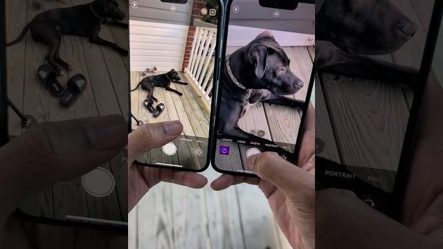 Iphone 13 vs iphone 16 camera zoom quality test! Iphone 13 vs iphone 16 camera zoom quality test!