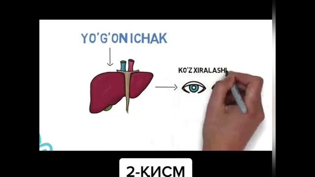 Тана б\н рух. ошкозон ичак 2-кисим Тана б\н рух. ошкозон ичак 2-кисим